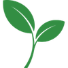 Woodland Earth